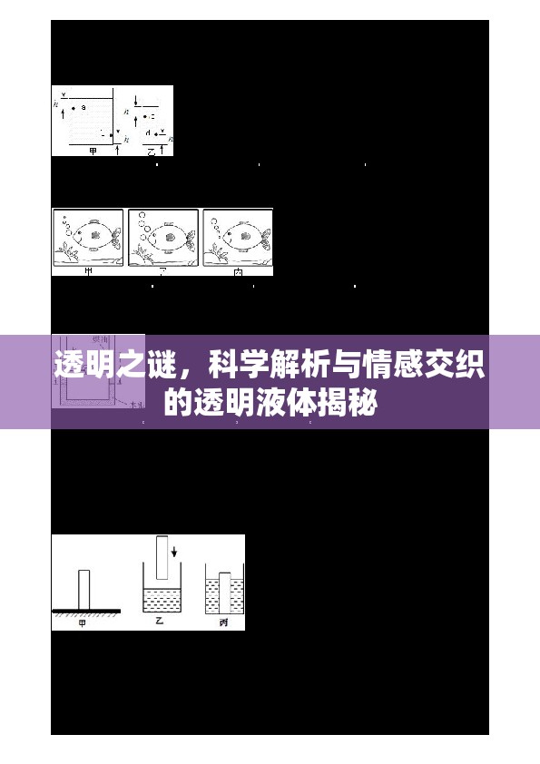 揭開透明液體的神秘面紗，科學(xué)探索與情感共鳴