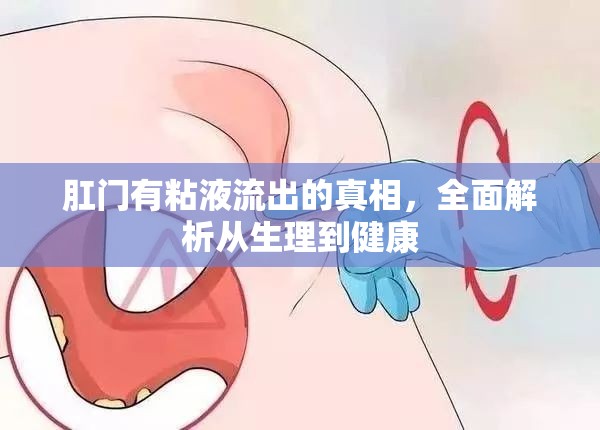 肛門粘液流出，生理原因與健康影響深度解析
