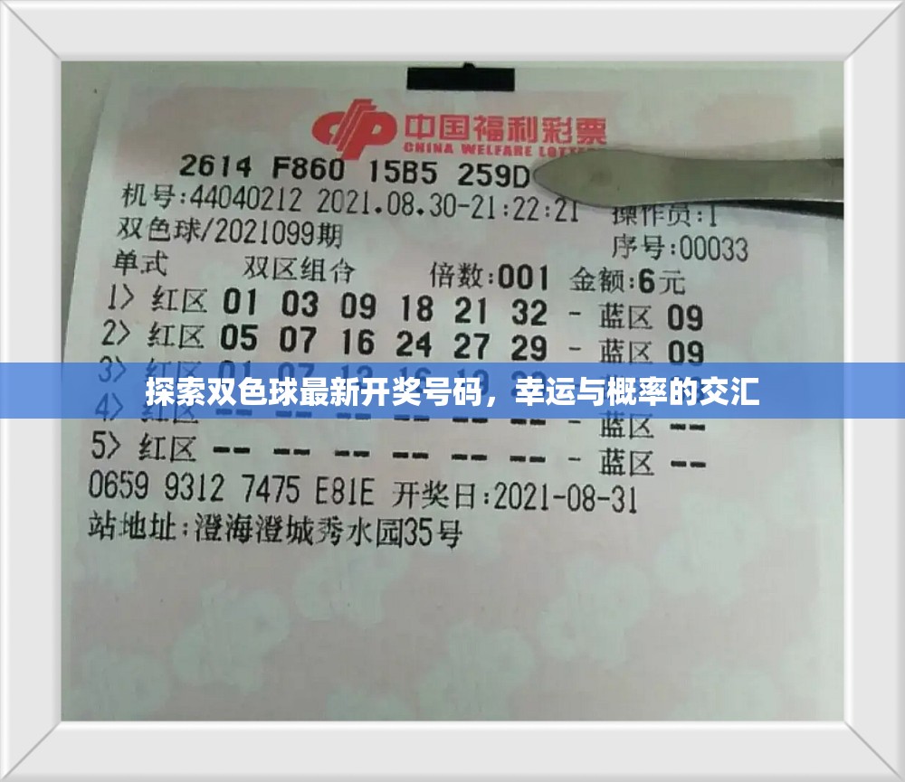 雙色球開獎(jiǎng)號碼解析，幸運(yùn)與概率的交織