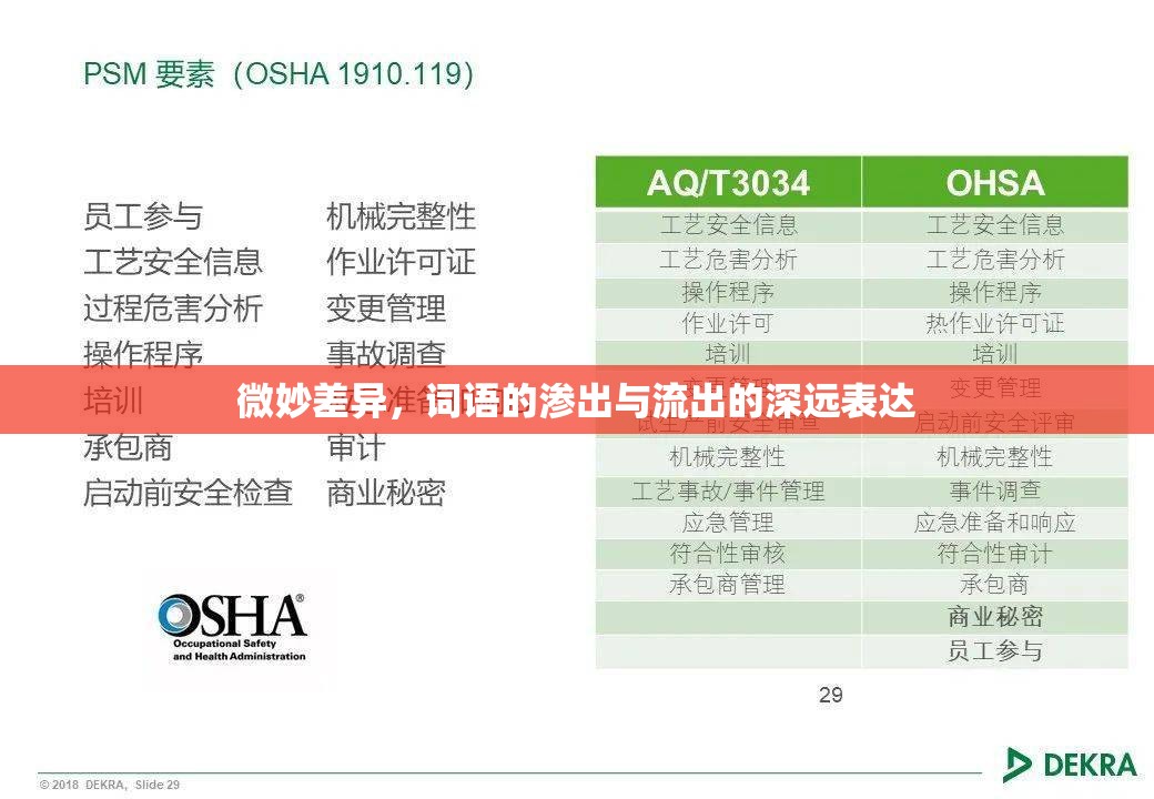 微妙差異，詞語的滲出與流出的深遠(yuǎn)表達(dá)
