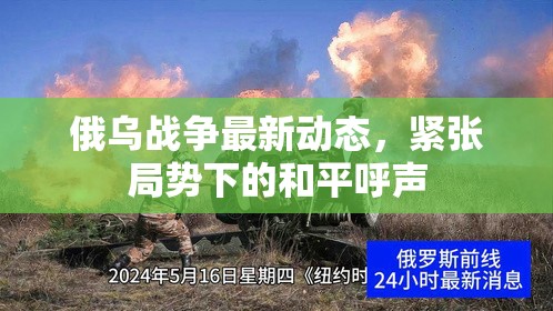 俄烏沖突升級(jí)，緊張局勢(shì)中尋求和平的呼聲
