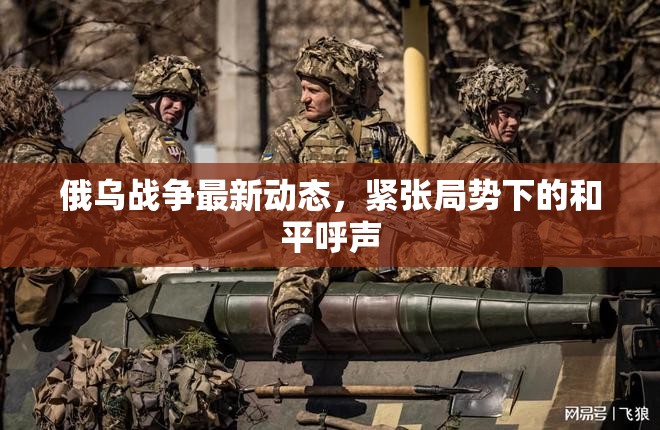 俄烏沖突升級(jí)，緊張局勢(shì)中尋求和平的呼聲