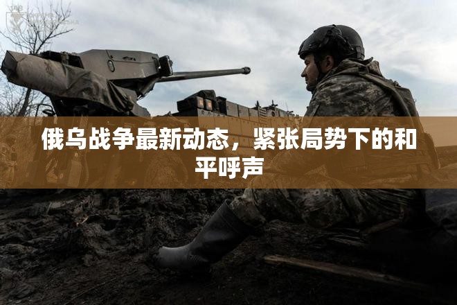 俄烏沖突升級(jí)，緊張局勢(shì)中尋求和平的呼聲