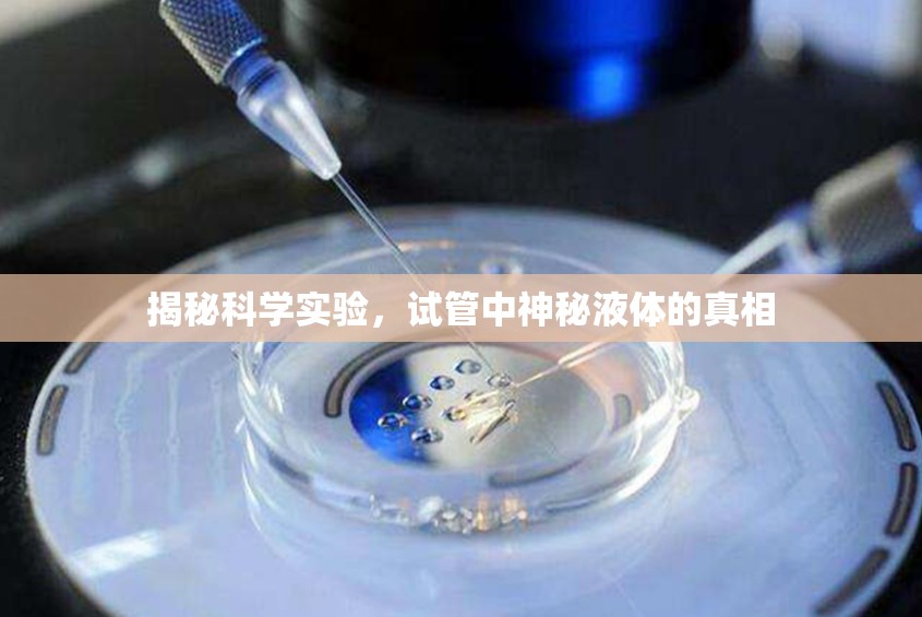 揭秘科學(xué)實(shí)驗(yàn)，試管中神秘液體的真相