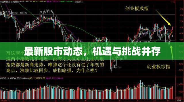 股市風云，把握機遇，應對挑戰(zhàn)