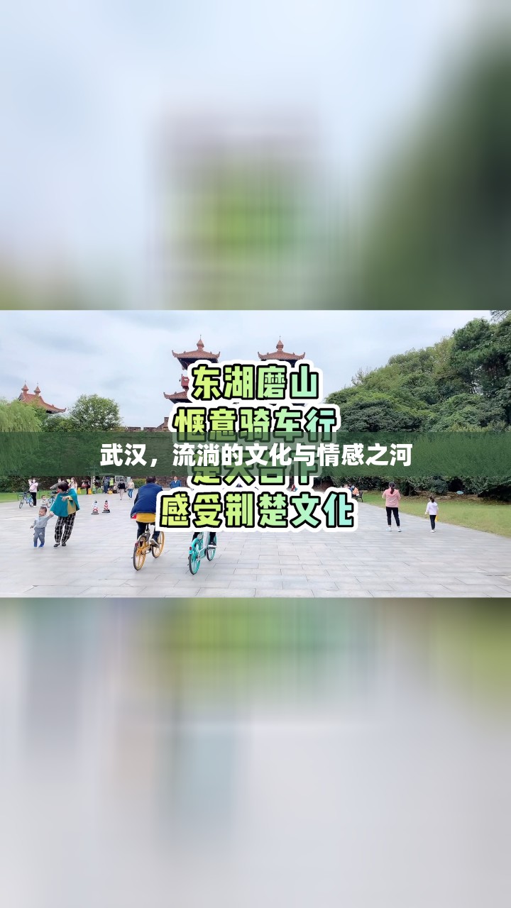 武漢，文化與情感的交匯之流