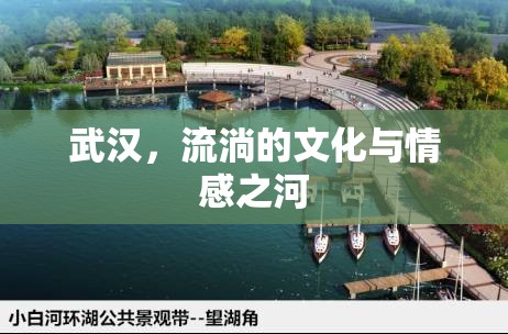 武漢，文化與情感的交匯之流