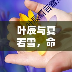 葉辰與夏若雪，命運的交織