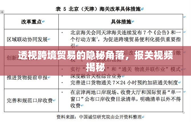 揭秘跨境貿(mào)易，報(bào)關(guān)視頻揭示隱秘角落