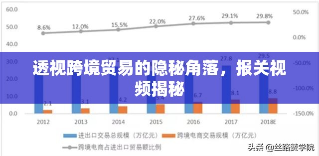 揭秘跨境貿(mào)易，報(bào)關(guān)視頻揭示隱秘角落