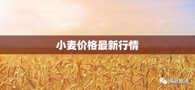 小麥價格最新行情