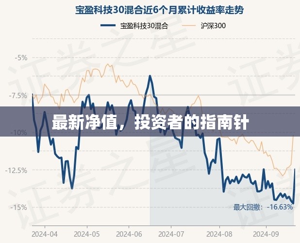 投資者指南，最新凈值解讀
