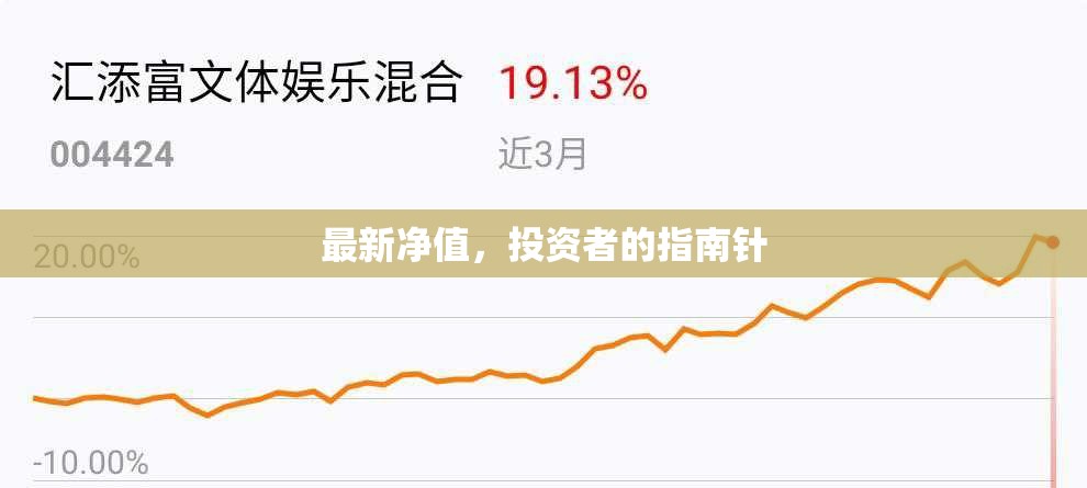 投資者指南，最新凈值解讀