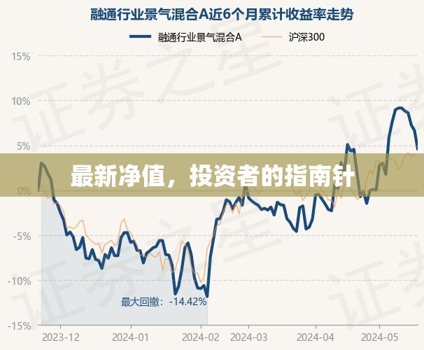 投資者指南，最新凈值解讀