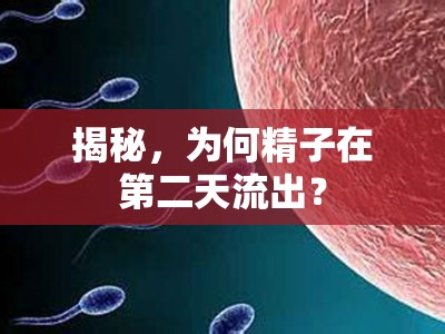 精子流出現(xiàn)象揭秘，第二天的生理機制解析