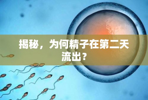 精子流出現(xiàn)象揭秘，第二天的生理機制解析
