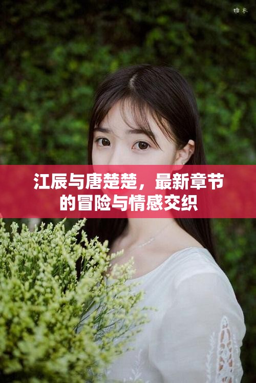 江辰與唐楚楚，冒險(xiǎn)篇章中的情感糾葛