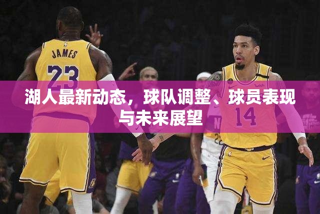 湖人最新動態(tài)，球隊調(diào)整、球員表現(xiàn)與未來展望
