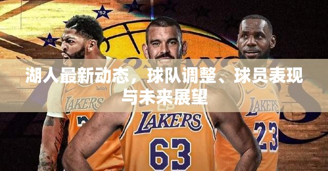 湖人最新動態(tài)，球隊調(diào)整、球員表現(xiàn)與未來展望