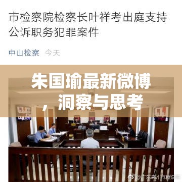 朱國(guó)瑜微博深度解析，最新洞察與思考