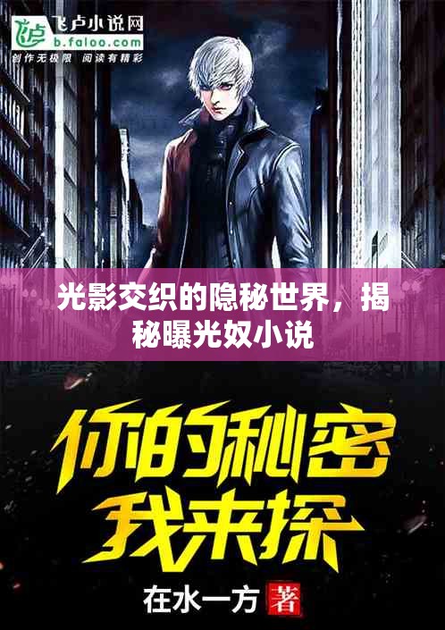 光影交織的隱秘世界，揭秘曝光奴小說