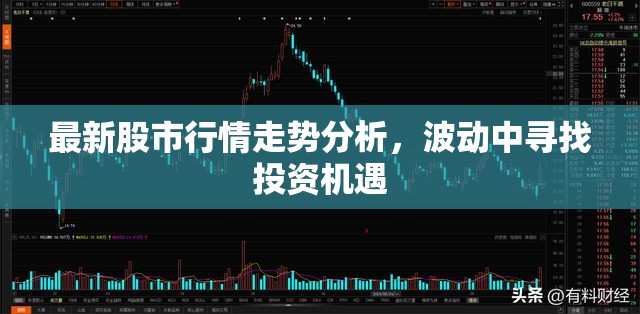 股市波動(dòng)下的機(jī)遇，最新行情走勢(shì)分析