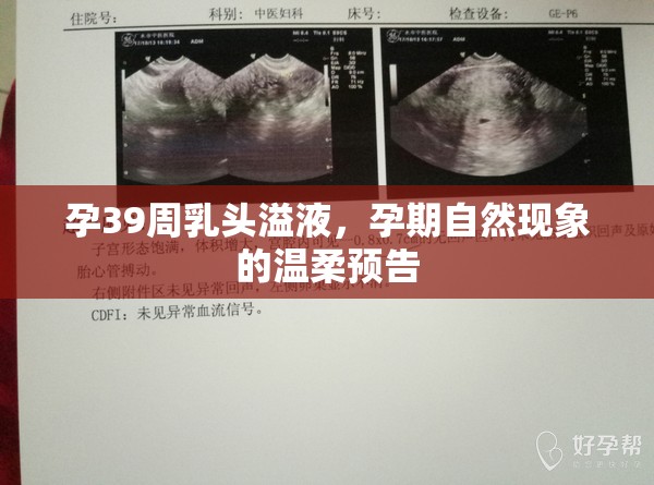 孕晚期乳頭溢液，孕期自然變化的溫馨信號(hào)