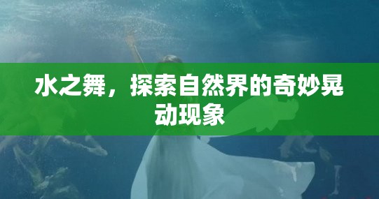 自然界的韻律，揭秘水之舞的奇妙晃動現(xiàn)象