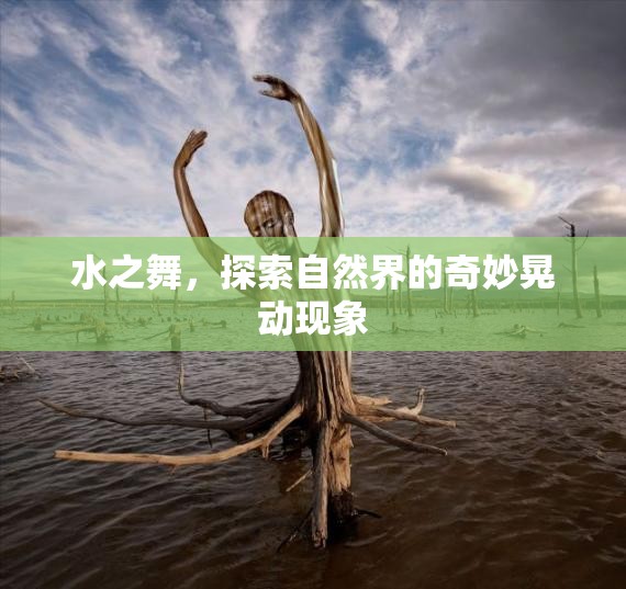 自然界的韻律，揭秘水之舞的奇妙晃動現(xiàn)象