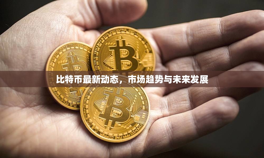比特幣市場動態(tài)，趨勢分析與未來展望