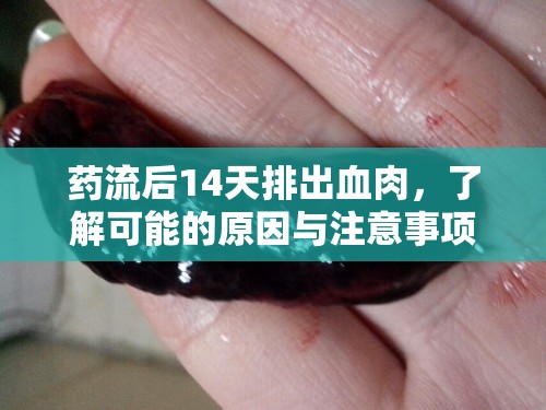 藥流后14天排出血肉，了解可能的原因與注意事項