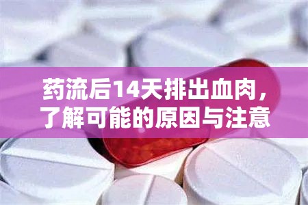 藥流后14天排出血肉，了解可能的原因與注意事項
