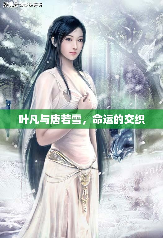 命運的編織，葉凡與唐若雪的交織故事