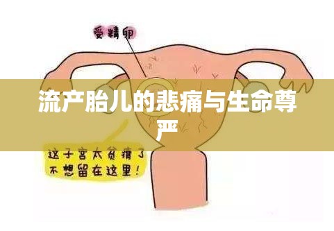 流產(chǎn)胎兒的生命尊嚴(yán)與情感糾葛