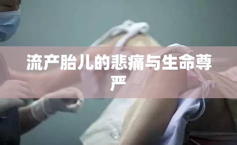 流產(chǎn)胎兒的生命尊嚴(yán)與情感糾葛