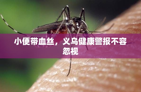義烏健康警示，不可忽視的小便帶血絲現(xiàn)象