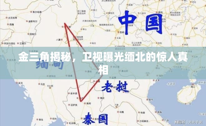 金三角揭秘，衛(wèi)視曝光緬北的驚人真相