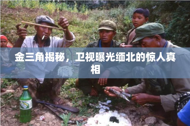 金三角揭秘，衛(wèi)視曝光緬北的驚人真相