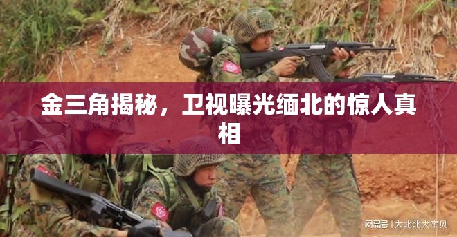 金三角揭秘，衛(wèi)視曝光緬北的驚人真相