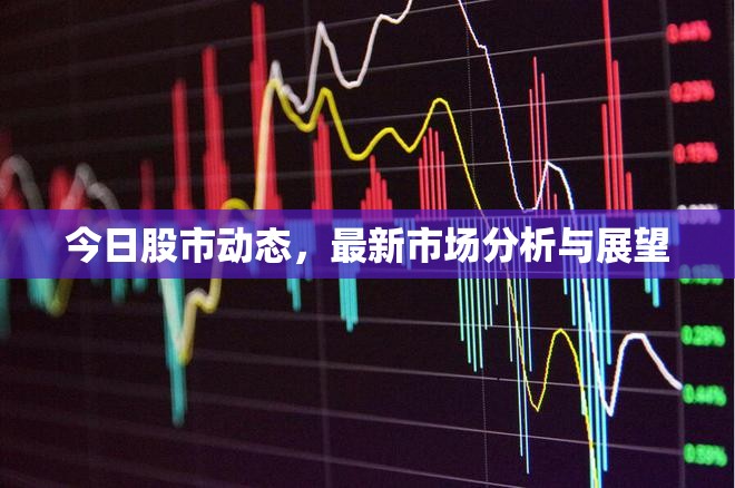 今日股市動態(tài)，最新市場分析與展望