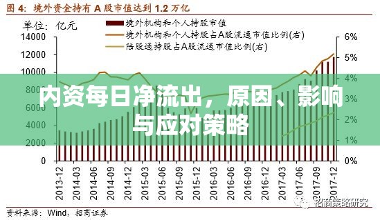 內(nèi)資凈流出，原因、影響及應(yīng)對(duì)策略分析