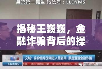 金融欺詐揭秘，王巍巍及其背后的操縱網(wǎng)絡(luò)