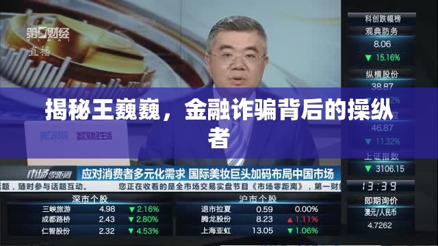 金融欺詐揭秘，王巍巍及其背后的操縱網(wǎng)絡(luò)