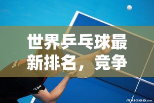 世界乒乓球最新排名，競爭格局與新星
