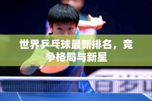 世界乒乓球最新排名，競爭格局與新星