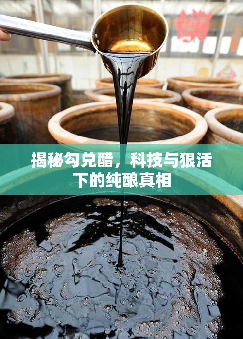 勾兌醋背后的科技真相，純釀醋的真相大揭秘