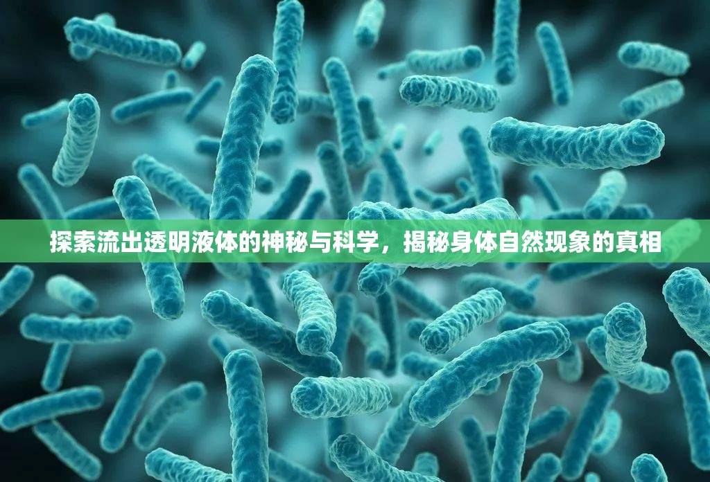 揭秘透明液體流出，身體自然現(xiàn)象的科學(xué)探索