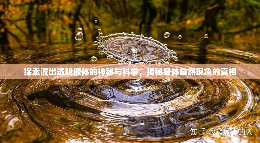 揭秘透明液體流出，身體自然現(xiàn)象的科學(xué)探索