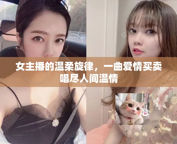 女主播的溫柔旋律，愛情買賣中的人間溫情