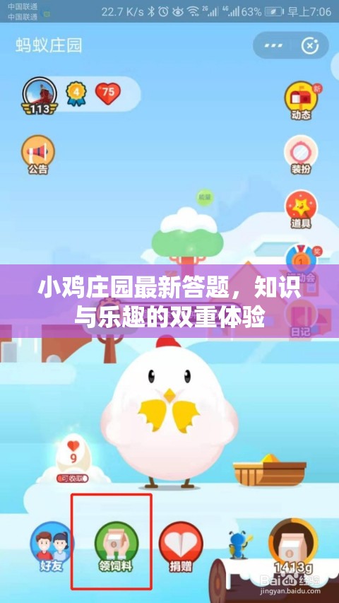 小雞莊園最新答題，知識(shí)與樂趣的雙重體驗(yàn)